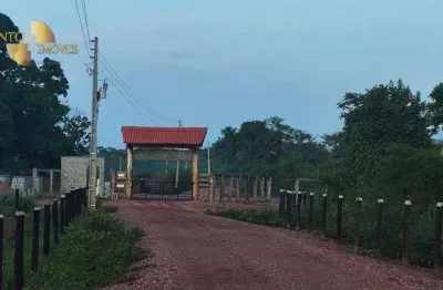 Fazenda à venda, 7790000 m² por r$ 6.000.000,00 - jardim novo mundo - várzea grande/mt