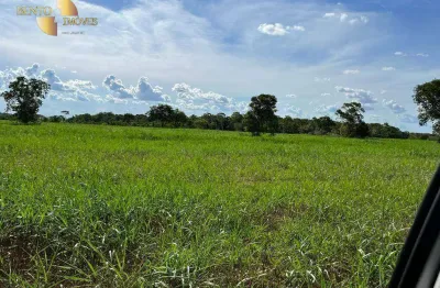 Fazenda à venda, 7100000 m² por r$ 35.500.000,00 -  pacem - cuiabá/mt