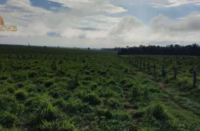 Fazenda à venda, 103120000 m² por r$ 123.744.000,00 - zona rural - marcelândia/mt