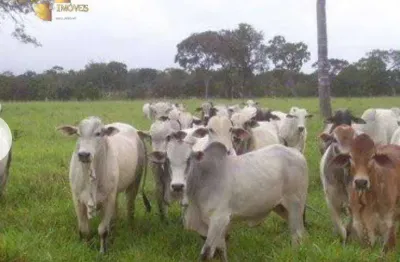 Fazenda com 2 dormitórios à venda, 4380000 m² por r$ 5.000.000 - zona rural - poconé/mt