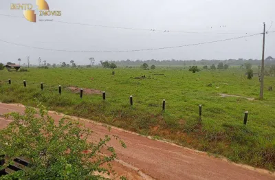 Fazenda à venda, 9000000 m² por r$ 58.500.000 - zona rural - machadinho d'oeste/ro