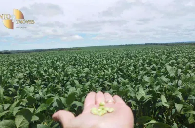 '*solo fértil:* terra pronta para plantio de alta produtividade.'