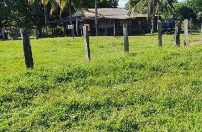 Fazenda à venda, 6050000 m² por r$ 12.000.000 - zona rural - torixoréu/mt
