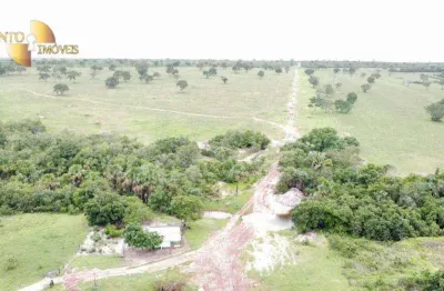 '*versatilidade no campo:* terra produtiva para cultivo e criação.'