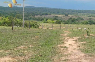Solo fértil:* terra pronta para plantio de alta produtividade.