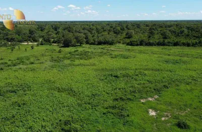 Fazenda à venda na Zona Rural, Santo Antônio do Leverger 