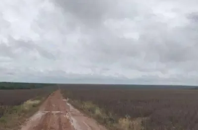 Fazenda à venda na Zona Rural, Marcelândia 