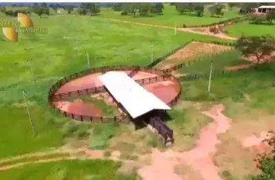 Fazenda à venda na Zona Rural, Pedra Preta 