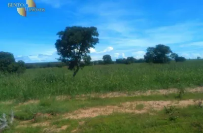 Fazenda à venda na Zona Rural, Paranatinga 