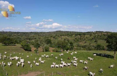 Fazenda à venda na Avenida dos Estudantes, Área Rural de Rondonópolis, Rondonópolis