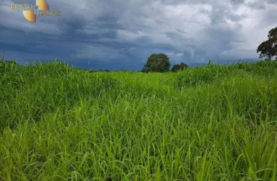 Fazenda à venda na Zona Rural, Nova Brasilândia 