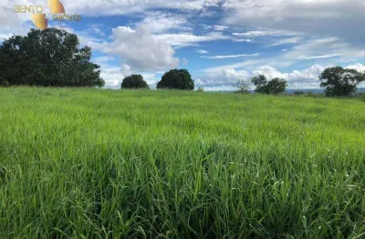 Fazenda à venda na Zona Rural, Guiratinga 