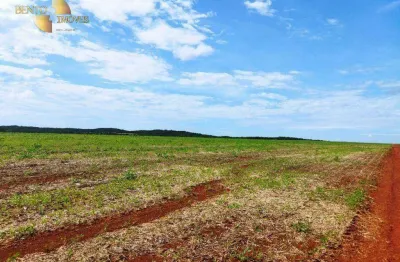 Fazenda à venda na Zona Rural, Rosário Oeste 