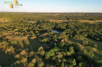 Fazenda com 4 dormitórios à venda, 3460000 m² por r$ 3.800.000,00 - zona rural - jangada/mt