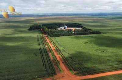Fazenda à venda na Zona Rural, Campos de Júlio 