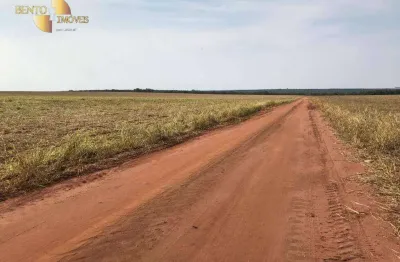 Fazenda à venda na Zona Rural, Tangará da Serra 