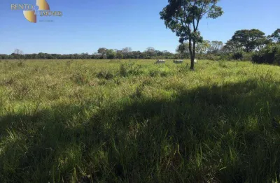 Fazenda à venda na Zona Rural, Santo Antônio do Leverger 