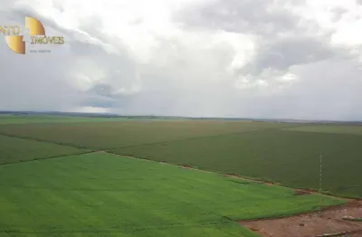 Fazenda à venda na Zona Rural, Campo Novo do Parecis 