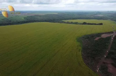 Fazenda à venda, 78420000 m² por r$ 350.000.000 - zona rural - paranatinga/mt