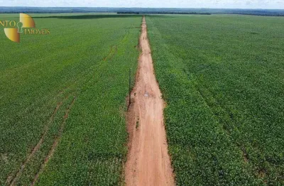 Fazenda à venda na Zona Rural, Santa Rita do Trivelato 