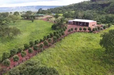 Fazenda à venda na Zona Rural, Pedra Preta 