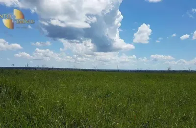 Fazenda à venda, 88800000 m² por r$ 150.000.000,00 - zona rural - sorriso/mt