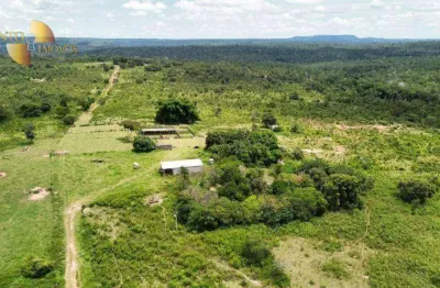 Fazenda à venda no Centro, Tesouro 