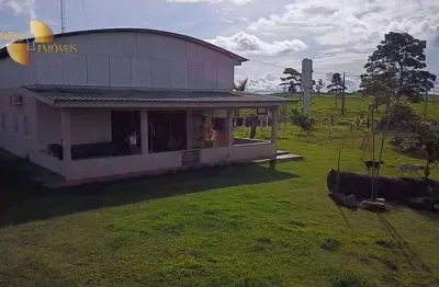 Fazenda à venda, 11060000 m² por r$ 30.000.000,00 - zona rural - alta floresta/mt