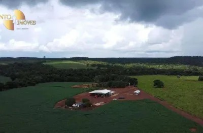 Fazenda à venda na Zona Rural, Primavera do Leste 