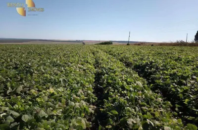 Fazenda à venda, 21600000 m² por r$ 86.000.000 - zona rural - campos de júlio/mt