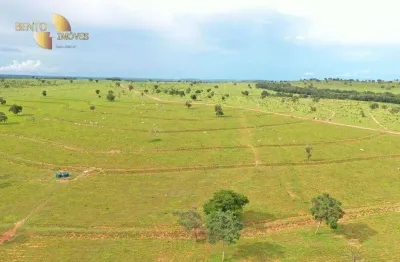 Fazenda à venda no Centro, Guiratinga 