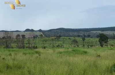 Fazenda para alugar, 500 m² por r$ 20.000/mês - zona rural - planalto da serra/mt