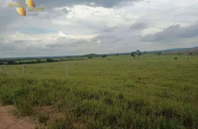 Fazenda à venda na Zona Rural, Nova Brasilândia 