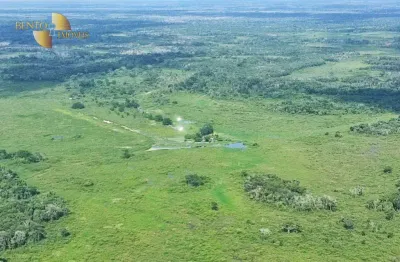Fazenda à venda, 34180000 m² por r$ 10.083.100,00 - zona rural - poconé/mt