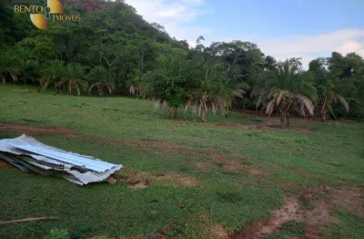 Fazenda à venda, 4030000 m² por r$ 5.000.000,00 - zona rural - tesouro/mt