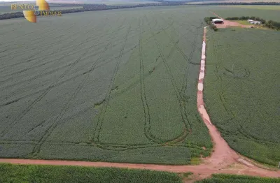 Fazenda à venda na Zona Rural, Novo São Joaquim 