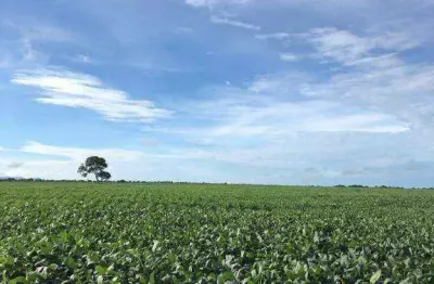 Fazenda à venda na Zona Rural, Mundo Novo 