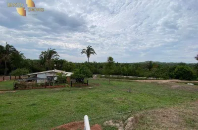 Fazenda à venda na Avenida Brasil, Área Rural de Rondonópolis, Rondonópolis