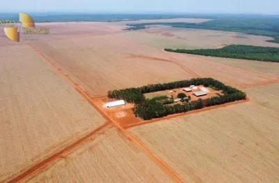 Fazenda à venda na Zona Rural, Bom Jesus do Araguaia 