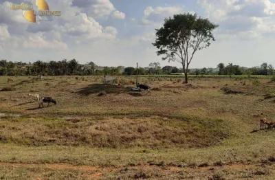 Fazenda à venda, 1331000 m² por r$ 4.400.000 - zona rural - juscimeira/mt