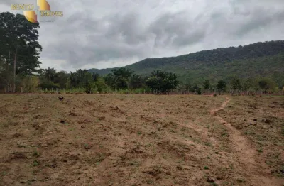 Sítio à venda, 820000 m² por r$ 1.200.000,00 - zona rural - cáceres/mt
