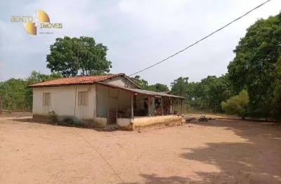 Sítio à venda, 32,96 hectares por r$ 390.000 - zona rural - rosário oeste/mt