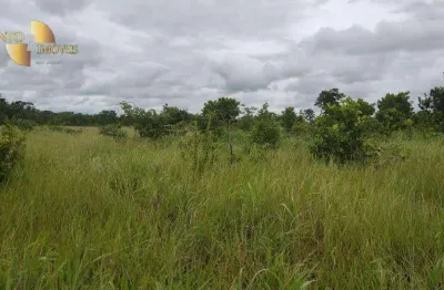 Chácara / sítio à venda na Zona Rural, Nobres 