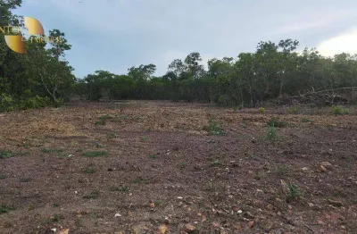 Sítio à venda, 450000 m² por r$ 250.000,00 - ribeirão do lipa - cuiabá/mt