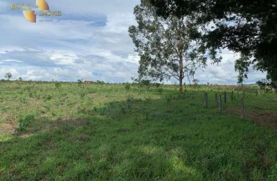 Fazenda à venda, 24200000 m² por r$ 53.000.000,00 - zona rural - caiaponia/go