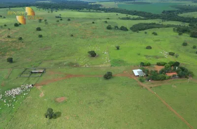 Fazenda à venda, 7850000 m² por r$ 19.000.000 - zona rural - canarana/mt