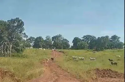 Fazenda à venda, 5565000 m² por r$ 18.500.000 - zona rural - rondonópolis/mt