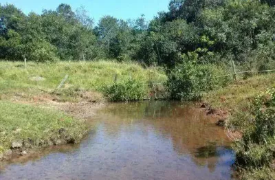 Fazenda à venda na Zona Rural, Caçu 