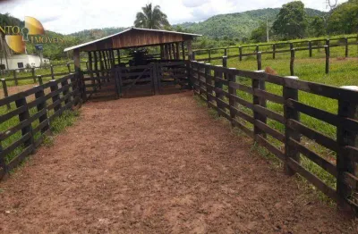 Fazenda à venda, 11860000 m² por r$ 19.500.000 - zona rural - torixoréu/mt
