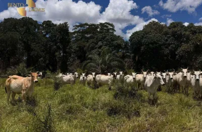 Fazenda à venda, 3440000 m² por r$ 6.880.000 - cangas - poconé/mt